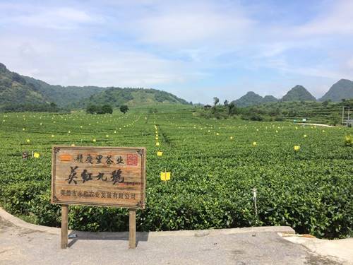 说明:C:\Users\黛苗\AppData\Local\Microsoft\Windows\INetCache\Content.Word\1905825024.jpg